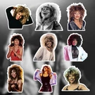 Tina Turner Stickers Waterproof Die-cut Vinyl 9 Pcs. Fixed Price $17.99.